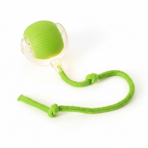 INTERAKTYWNA PIŁKA DLA PUPILA